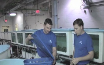 Endangered Sea Turtles Find New Home After Coast Guard Flight to Orlando