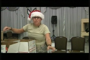 Sailor Brings Holiday Cheer, Package