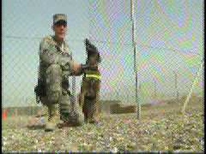 MPs and Military Working Dogs, Part 1