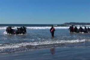 Exercise Iron Fist CRRC Training