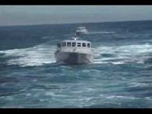 U.S. Navy SEAL (Sea, Air, Land) Part 6