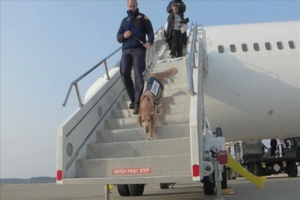 Search and Rescue Crews