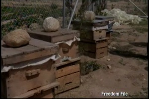 Freedom File - Mar. 16
