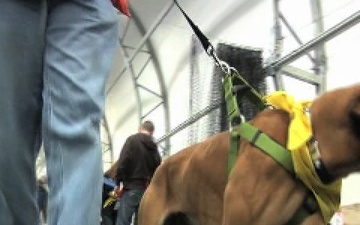 Mutual Enrichment: Veterans Training Shelter Dogs