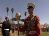 Battle Color Detachment Dazzle Combat Center
