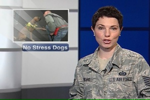 Minuteman Report: Veterans Train Dogs