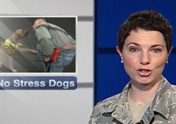 Minuteman Report: Veterans Train Dogs