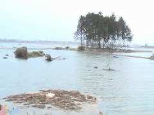 Tsunami Disaster Montage
