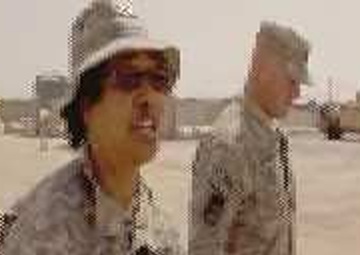 Combat Stress Walk-about, Long Package