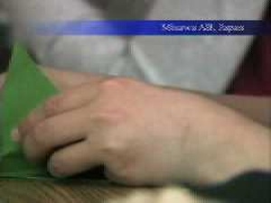 Air Force News: Origami