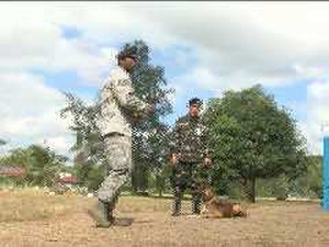 Balikatan 2011 K-9 Training