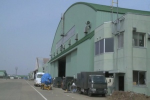 Runway Survey
