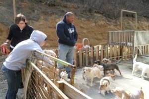 Spotlight Korea:  Artillery Soldiers Assist at Animal Shelter