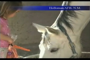 Air Force Report: Housing Horses