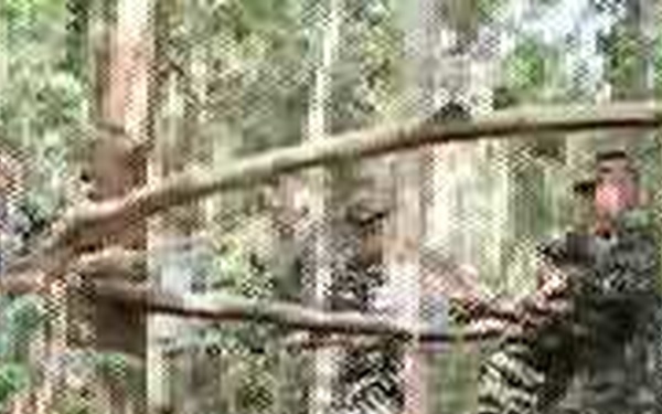 Balikatan 2011 - Survival Training