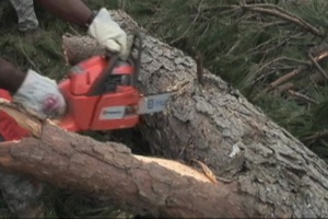 Tornadoes Result in Call for National Guard Support