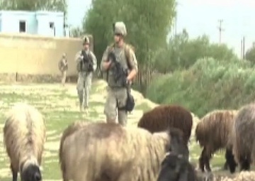 Enduring Freedom - SPC Kyle McCann