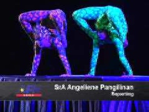 Two Minute Report: Cirque Dreams
