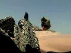Enduring Freedom - May 6