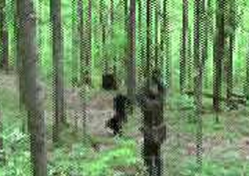 Earth Day Turkey Shoot Lets Nature Heal War Wounds