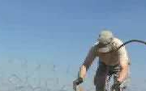 Who are the Kingpins