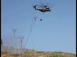 Cal Fire Exercise