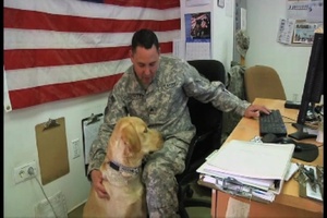 Combat Stress Management