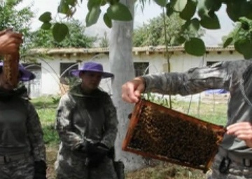 Minuteman Report: Beekeeping Friends