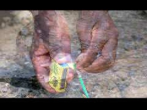 All Hands Update: EOD Training in South Africa