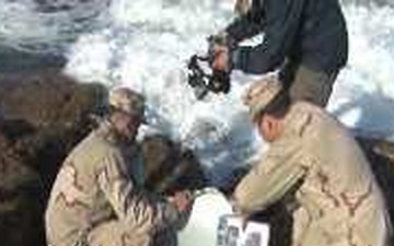 MSRON Sailors Work With San Clemente Island Marine Biologists