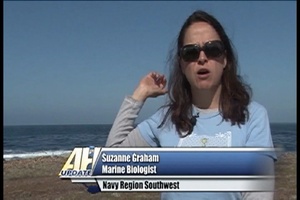 All Hands Update: Environmental Stewardship