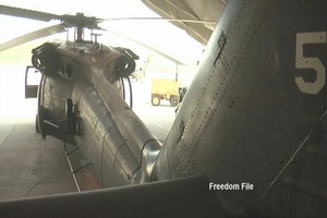 Freedom File - June 17