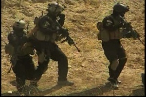 Operation Iron Lion