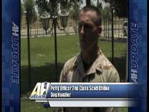 All Hands Update: Military Working Dog Training