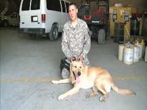 Mental Health Dog visits JBB Airmen