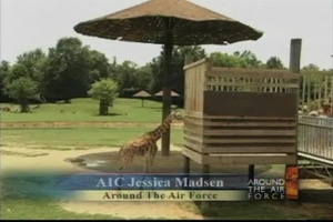 Around the Air Force - July 7 (short)