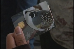 Eagle Cash Spot