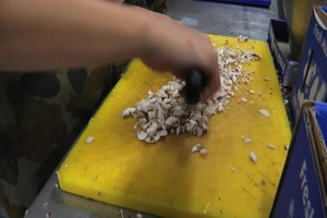 Camp Growl Cooks Feed Masses at Talisman Sabre 2011