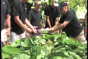 Hawaiian Culture Training