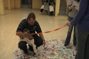 Army Veterinarians in South Africa, Package