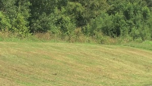 Airmen Volunteer Summer to Fight Flood