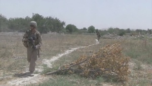 Marines Patrol