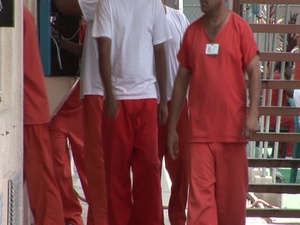 Krome and Broward Transitional Center detention facilities