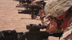 New England's Own Becomes Battle-Ready