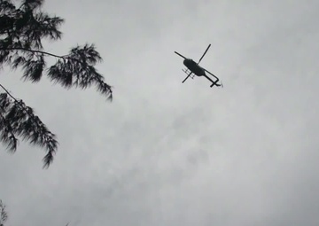 Drug Eradication Missions in Guam, Saipan and Tinian