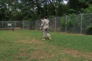 Two Minute Report: MPK9
