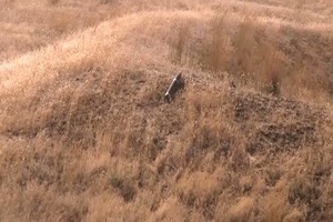 Oregon Military Police Soldiers Learn to Identify IEDs