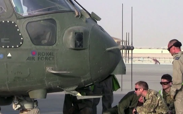 HMH-464 TRAP