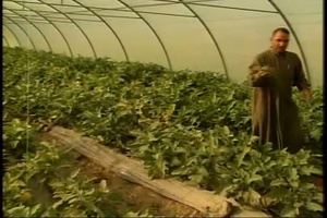 Demonstration Farms