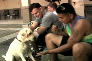 Dogs Help Wounded Warriors Heal